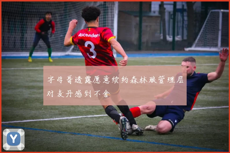 字母哥透露愿意续约森林狼管理层对麦丹感到不舍